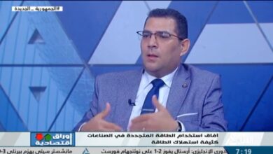 رئيس شركة بي نيشتي: الطاقة الشمسية تمد الصناعات كثيفة استهلاك الطاقة بمختلف أنواعها