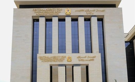 التنظيم والإدارة