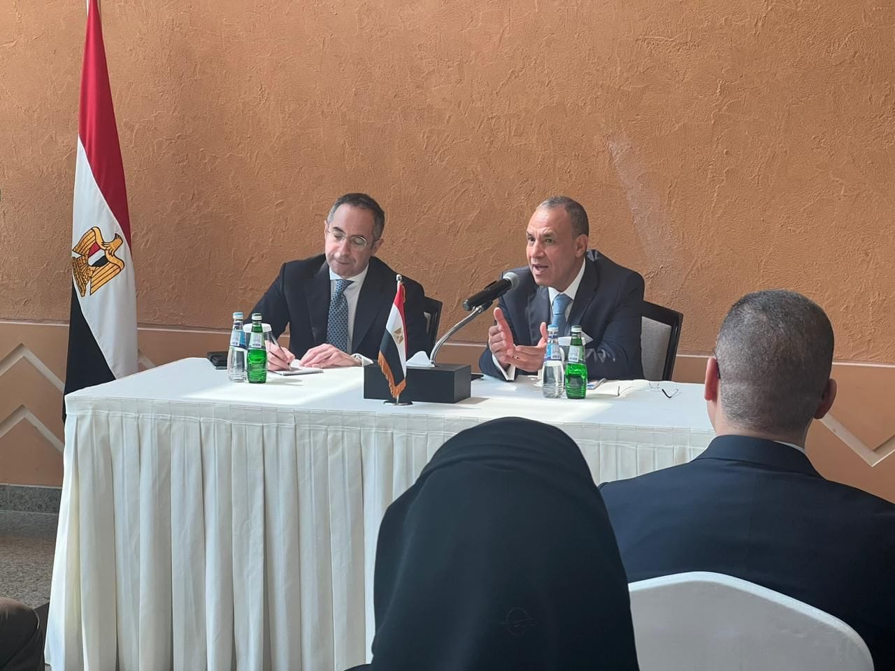 وزير الخارجية المصري