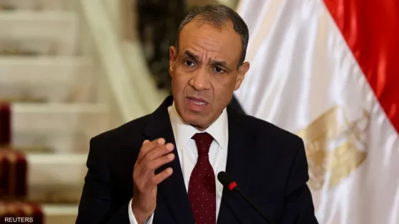 وزارة الخارجية: مصر تواصل جهودها الحثيثة لوقف العدوان على غزة والإسراع بإنفاذ المساعدات الإنسانية