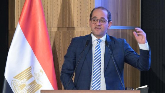 الحكومة تضخ 2 مليار جنيه لتحفيز الطيران للسنة المالية 2025/2026
