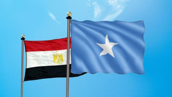 مصر تجدد دعمها الكامل لاستقرار الصومال خلال مشاركتها في اجتماع مجلس السلم والأمن الإفريقي