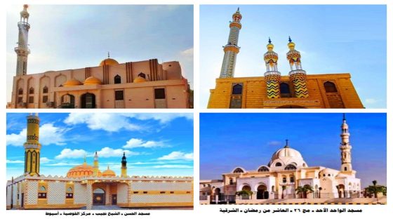 اليوم.. الأوقاف تفتتح اليوم 14 مسجدًا ضمن خطتها لإعمار بيوت الله