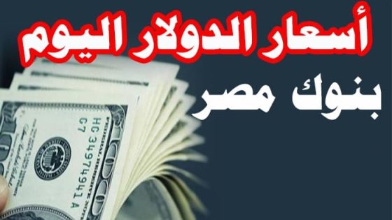 سعر الدولار أمام الجنيه المصري في بداية تعاملات الثلاثاء 19 أغسطس 2025