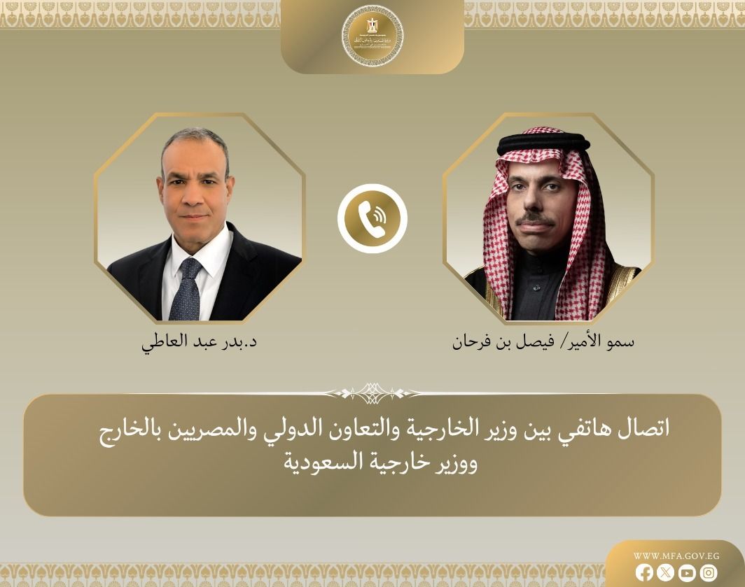 وزير الخارجية المصري والسعودي