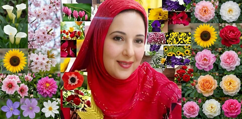 هانم داود